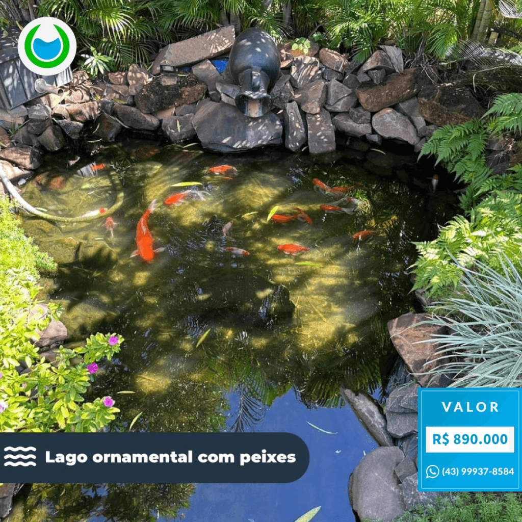 Chácara Alto Padrão-4